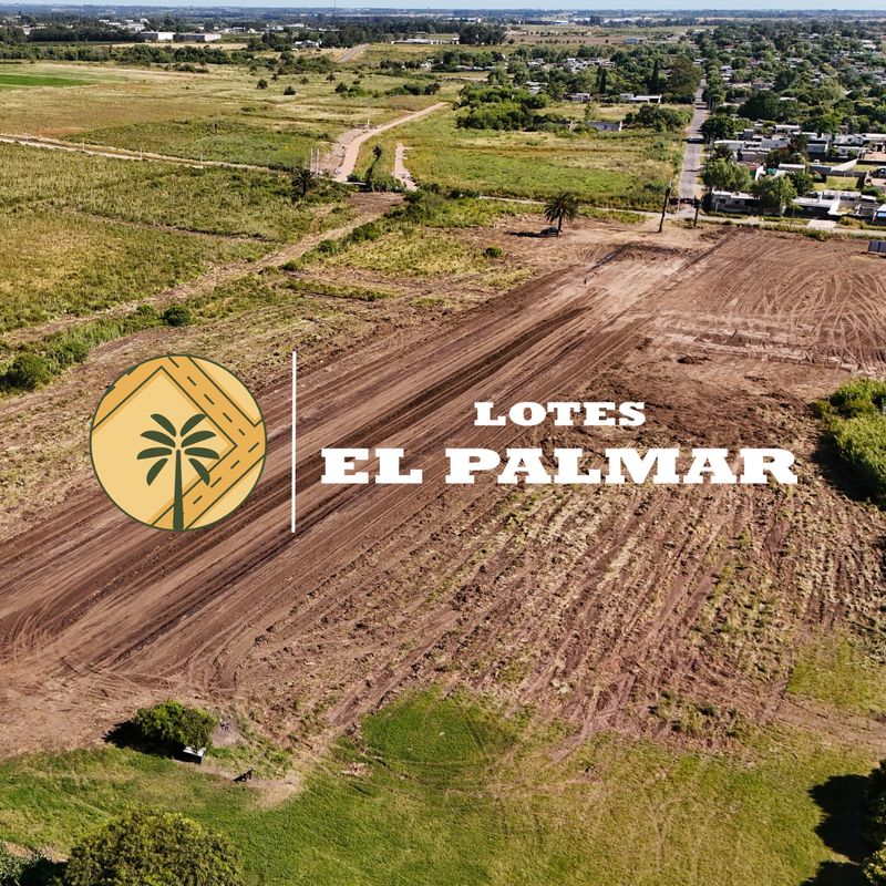Lotes El Palmar