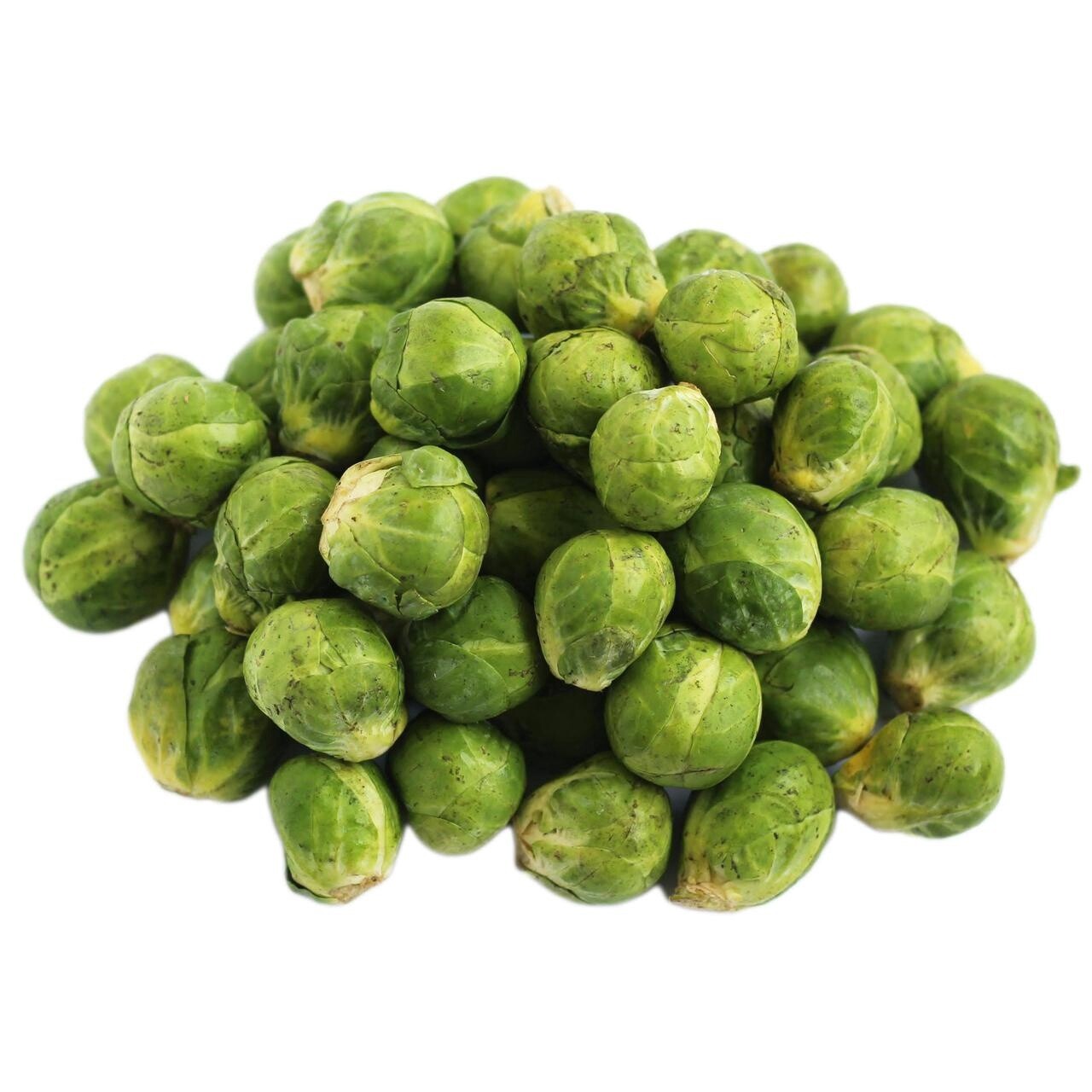 ORGANIC SPROUTS PER KG
