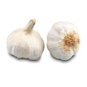 GARLIC PER KG