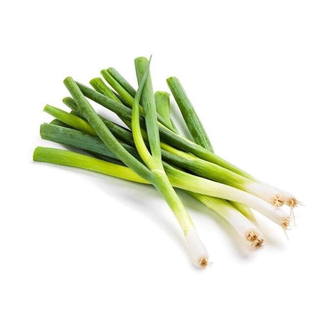 SPRING ONIONS BUNCH