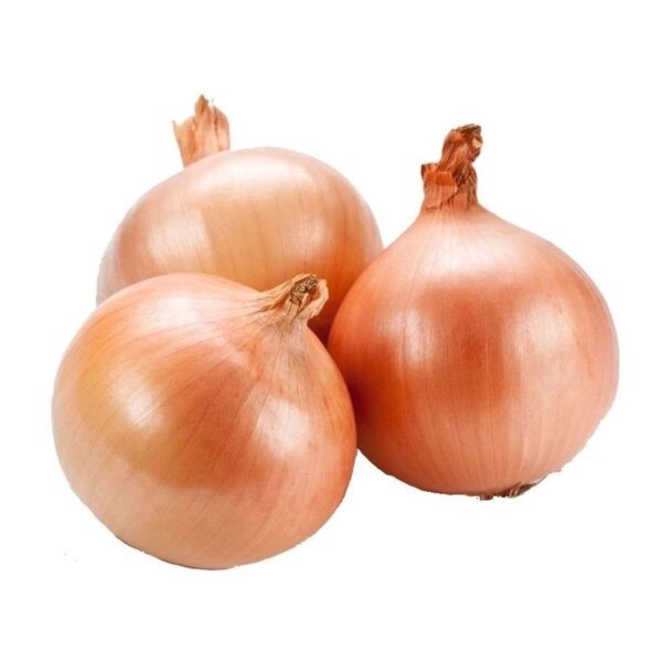 ONIONS BROWN PER KG