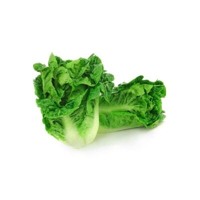 ORGANIC COS LETTUCE