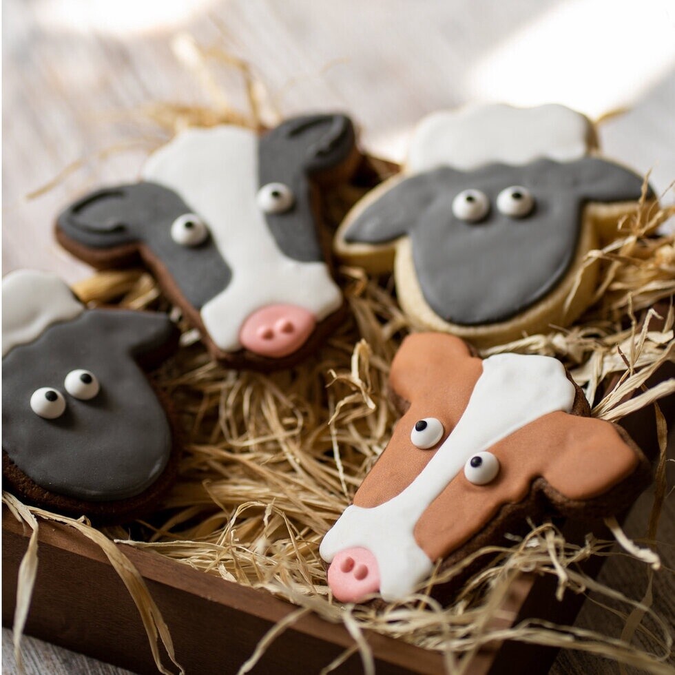 COWS &amp; SHEEP BISCUITS