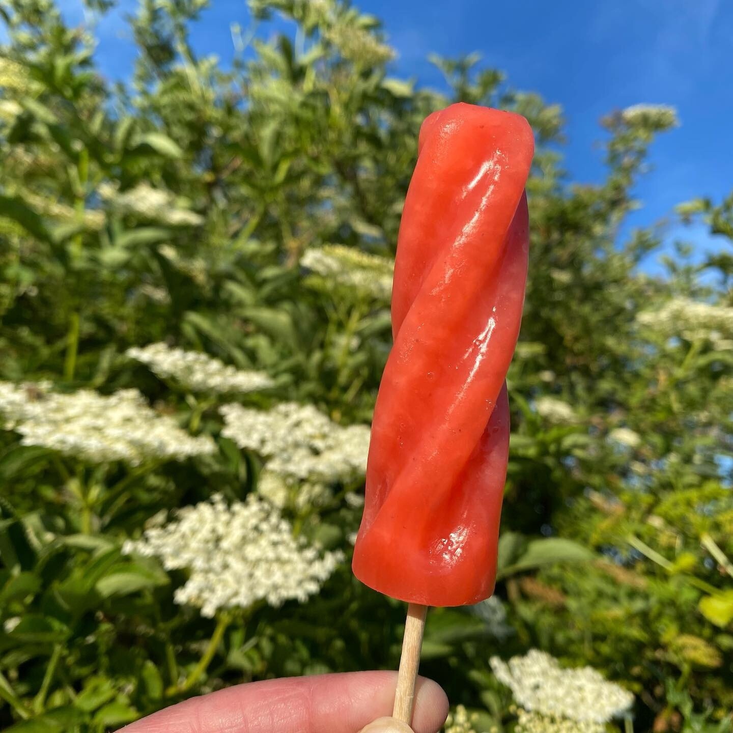 LICKETY ICE LOLLY SMALL