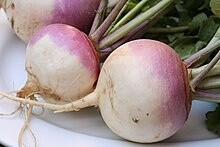 TURNIP PER KG