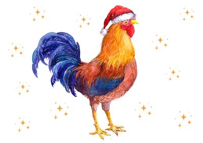 Christmas Cockrel