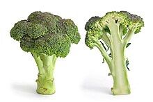 ORGANIC BROCCOLI KG