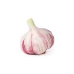 ORGANIC GARLIC KG