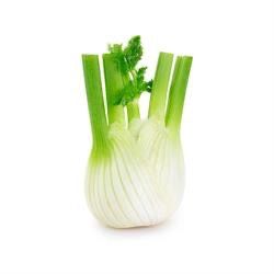 ORGANIC FENNEL PER BULB