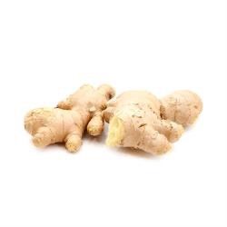 ORGANIC GINGER KG