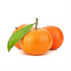 ORGANIC CLEMENTINES KG