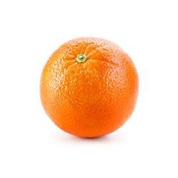 ORGANIC ORANGES KG
