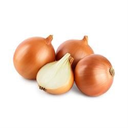 ORGANIC ONIONS BROWN KG