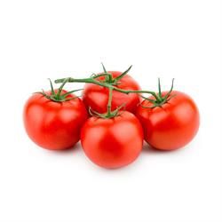 ORGANIC VINE TOMATOES LARGE KG