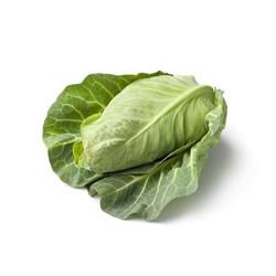 ORGANIC POINTED CABBAGE EACH