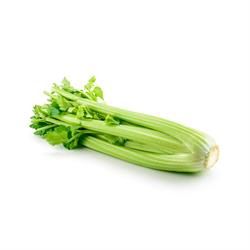 ORGANIC CELERY EACH