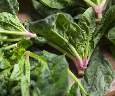 ORGANIC  TRUE SPINACH PER Kg