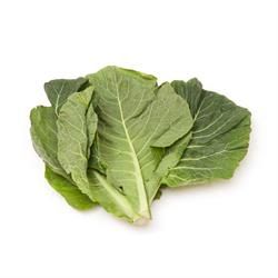 ORGANIC SPRING / SUMMER GREENS