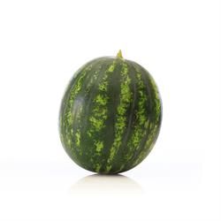 ORGANIC WATERMELON KG