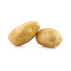 ORGANIC POTATOES WHITE