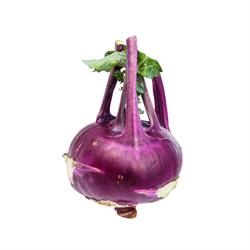 KOHL RABI