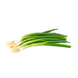 ORGANIC SPRING ONIONS