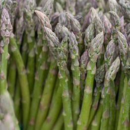ORGANIC ASPARAGUS UK