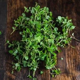 ORGANIC HERBS 10G EACH