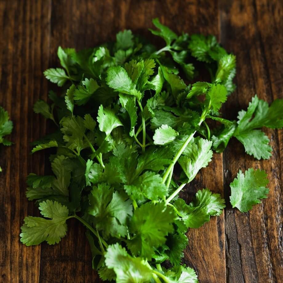 CORIANDER FRESH ORGANIC