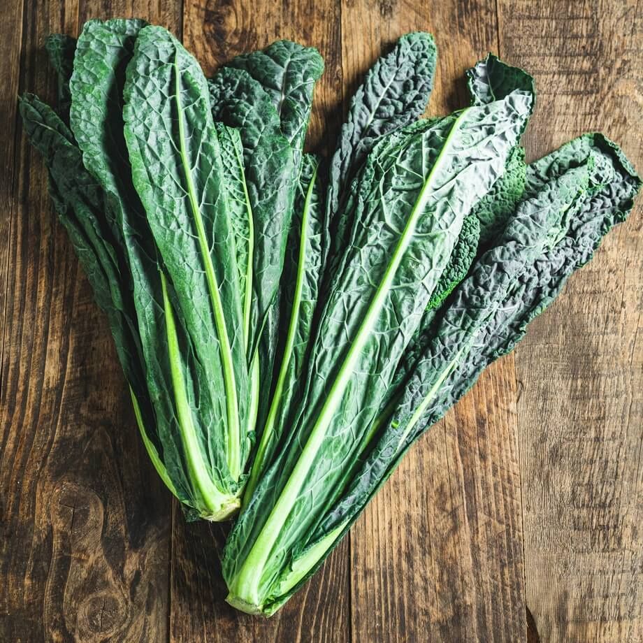 KALE BLACK (CAVOLO NERO) PER BAG