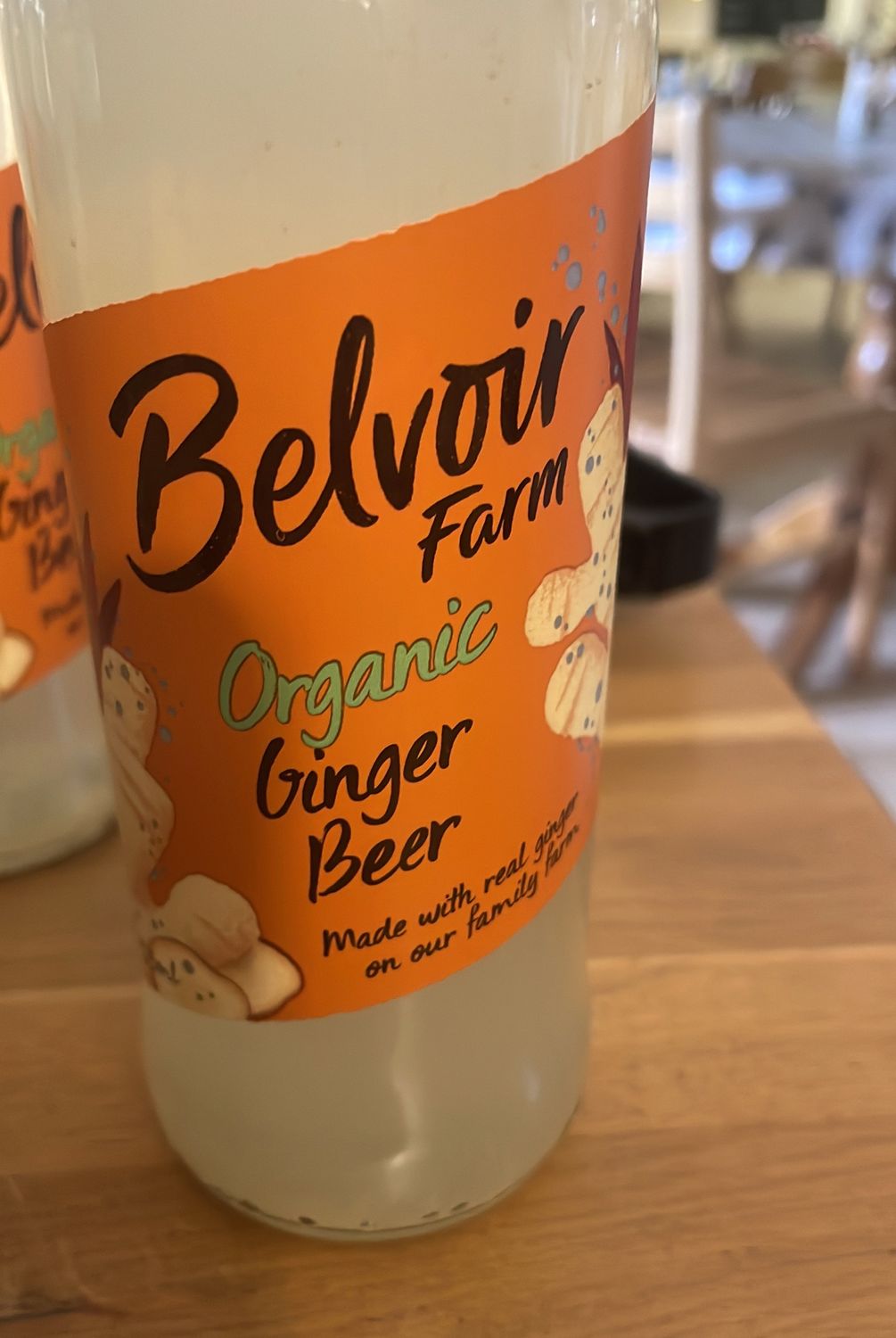 Organic Ginger Beer 250ml