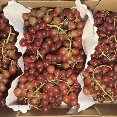 ORGANIC GRAPES RED KG