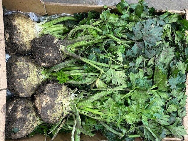 ORGANIC CELERIAC EACH