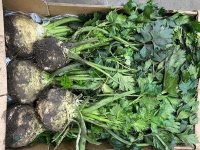 ORGANIC CELERIAC EACH