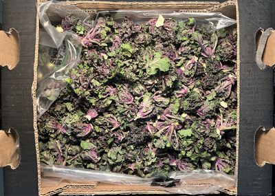 ORGANIC KALETTES PER BAG
