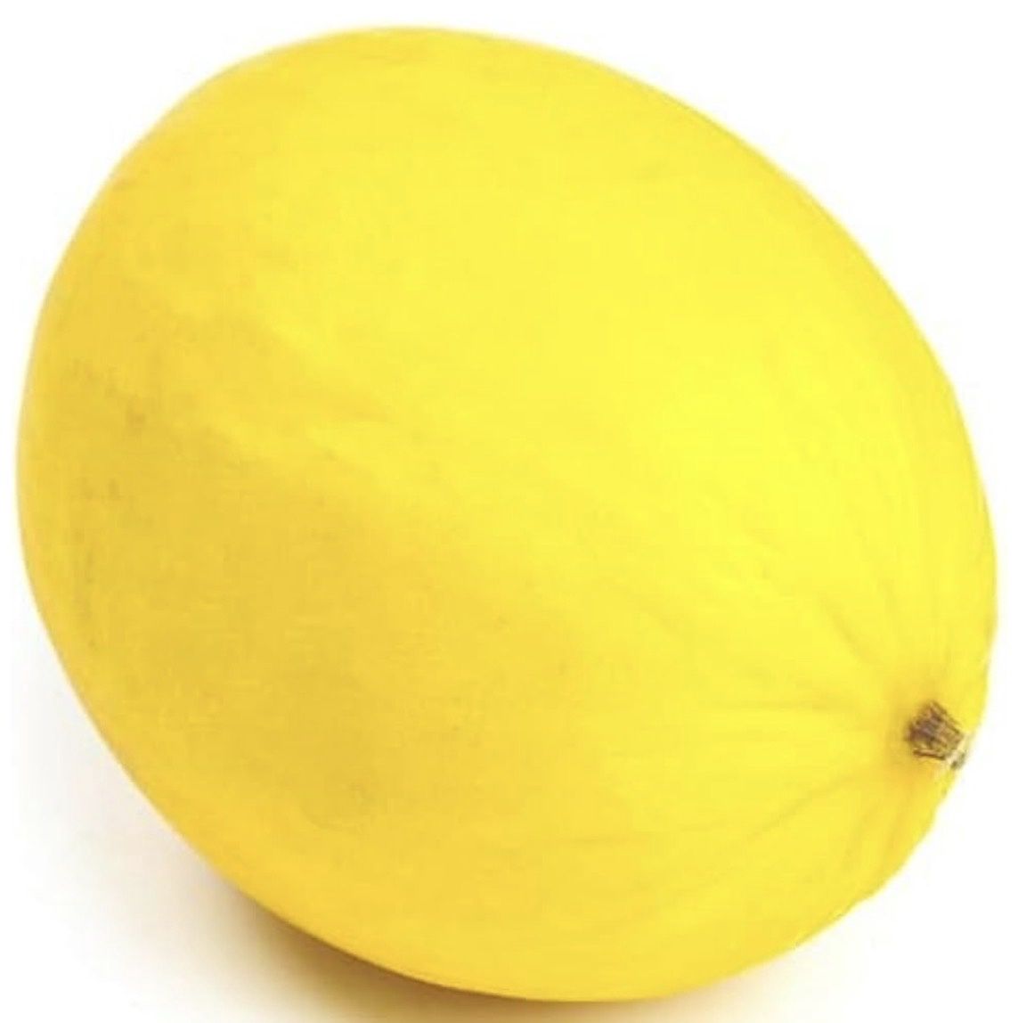 HONEYDEW MELON