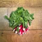 ORGANIC RADISH PACK
