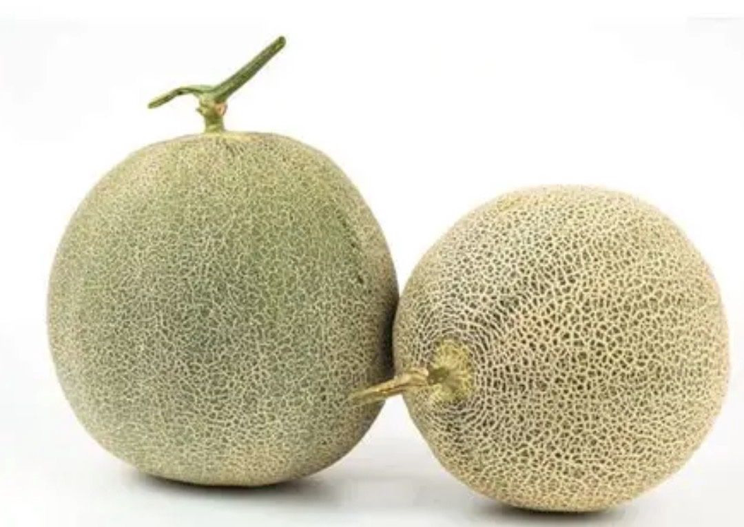 ORGANIC HONEYDEW EACH