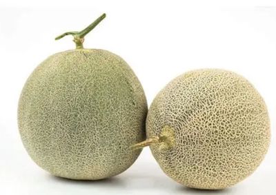 ORGANIC HONEYDEW EACH