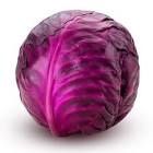 ORGANIC RED CABBAGE KG