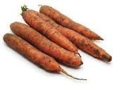 ORGANIC DIRTY CARROTS KG