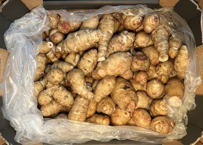 Jerusalem artichoke