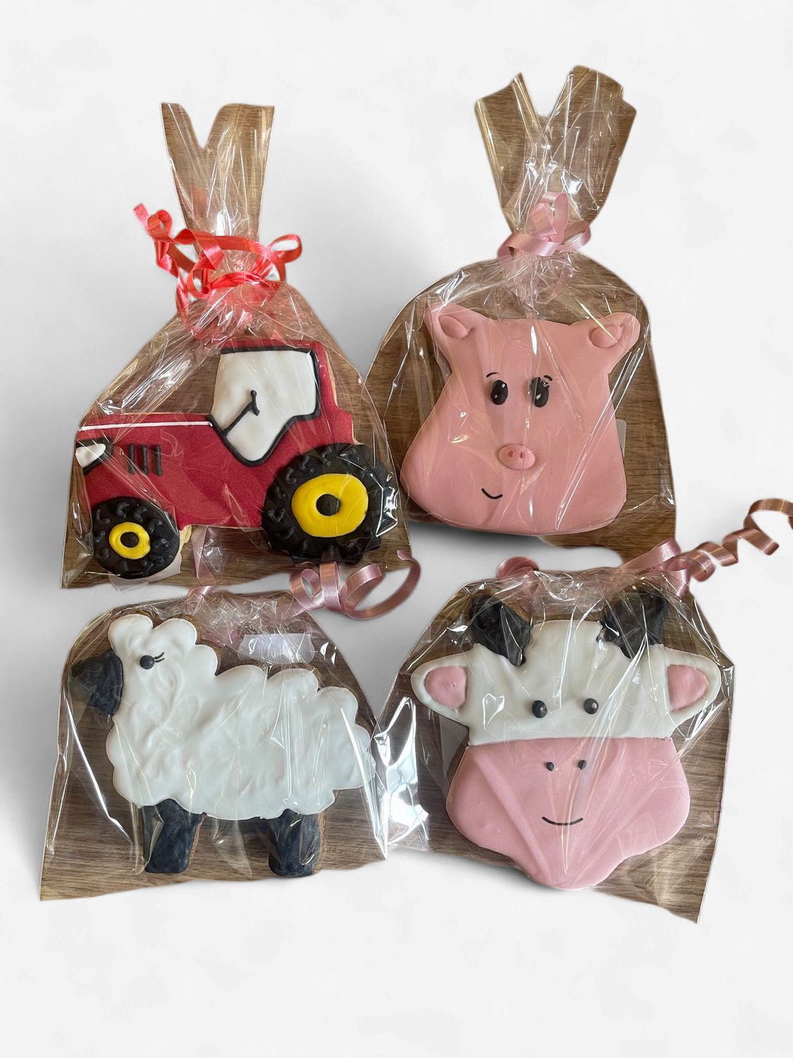 PICTURE BISCUITS