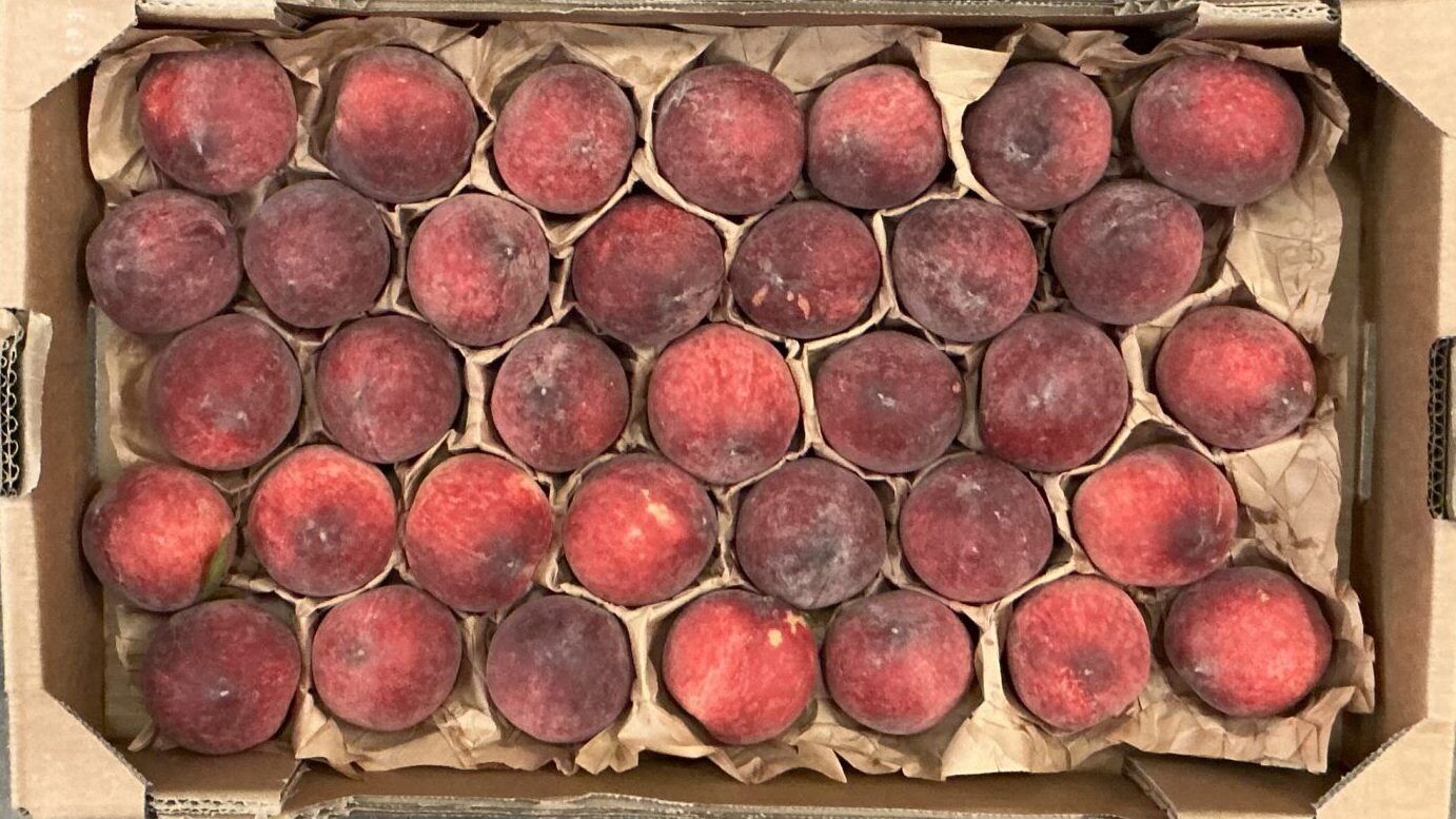 ORGANIC NECTARINES