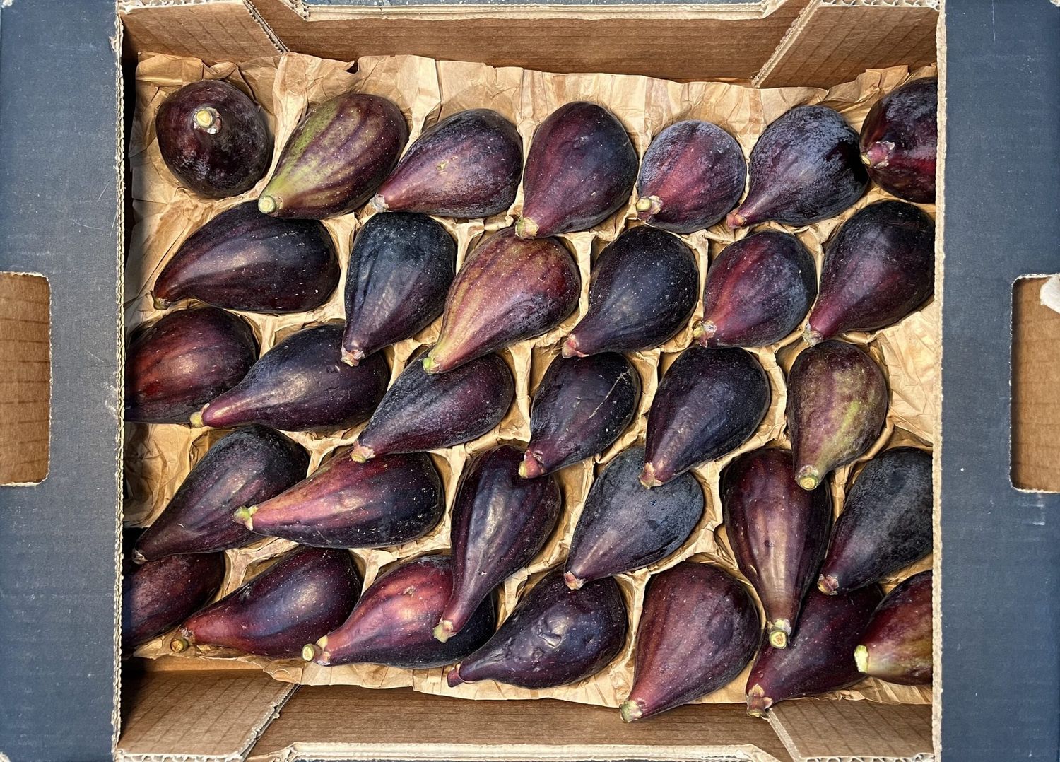 FIGS FRESH ORGANIC PER FIG