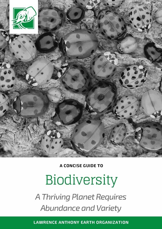 BIODIVERSITY - DOWNLOADABLE