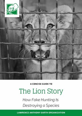 THE LION STORY - DOWNLOADABLE