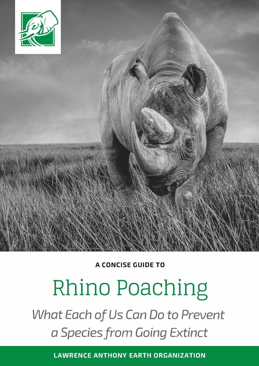 RHINO POACHING - DOWNLOADABLE