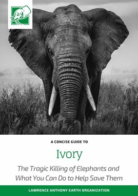 IVORY - DOWNLOADABLE