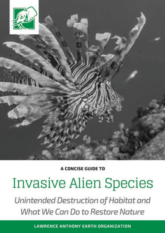 INVASIVE ALIEN SPECIES - DOWNLOADABLE